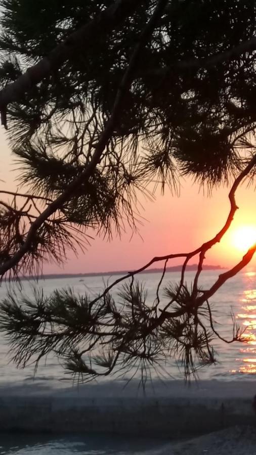 شقة Annamaria بولا المظهر الخارجي الصورة